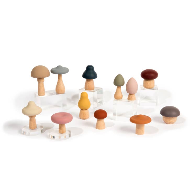 Wood + Silicone Mushroom Sorting Set - The Pomegranate Boutique