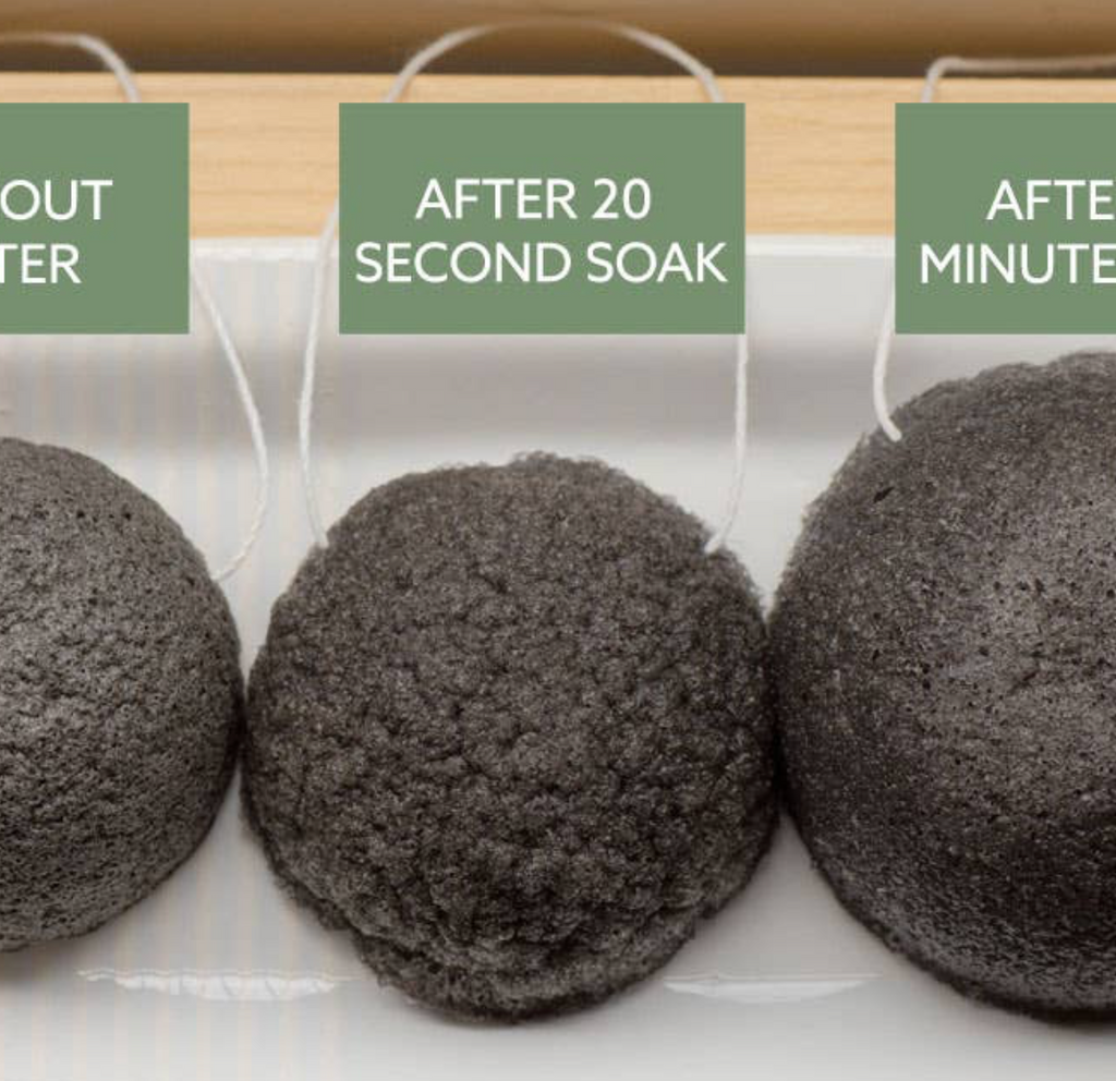 Luna Charcoal Facial Sponge - The Pomegranate Boutique