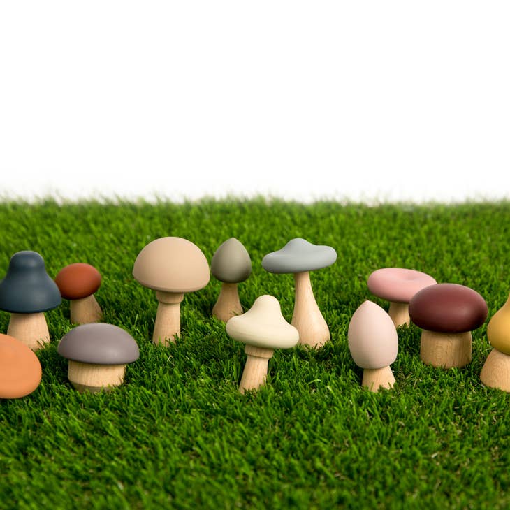 Wood + Silicone Mushroom Sorting Set - The Pomegranate Boutique